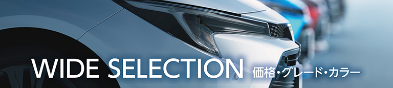 WIDE SELECTION