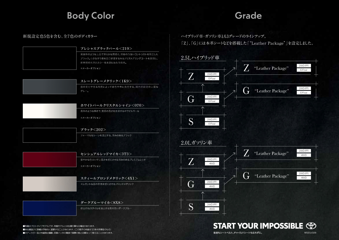 Body Color / Grade