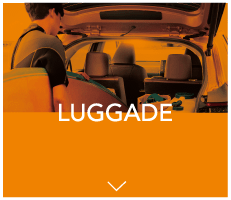 LUGGADE