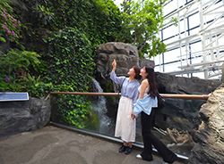 植物など約620種・3万点の生きものが展示されており、海遊館を歩けばまるで地球一周したような気分に!