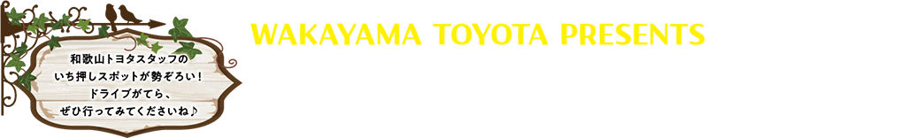 和歌山トヨタスタッフのいち押しスポットが勢ぞろい!ドライブがてら、ぜひ行ってみてくださいね♪ おすすめのお店スポット