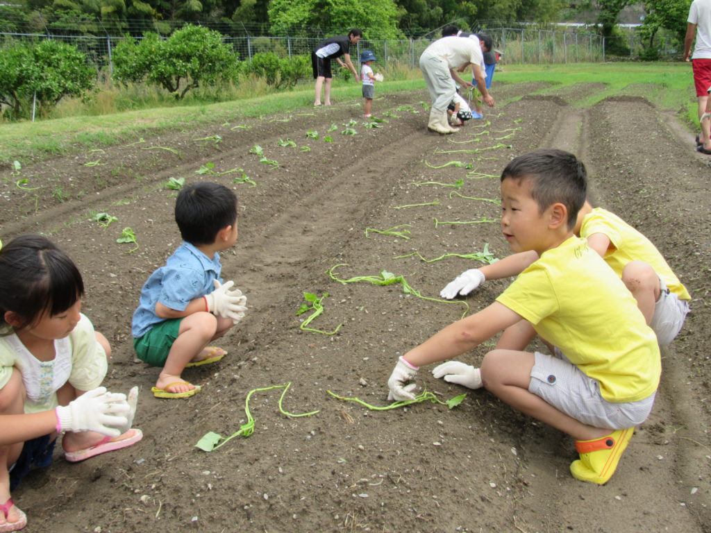 2017年春古座川地域貢献活動