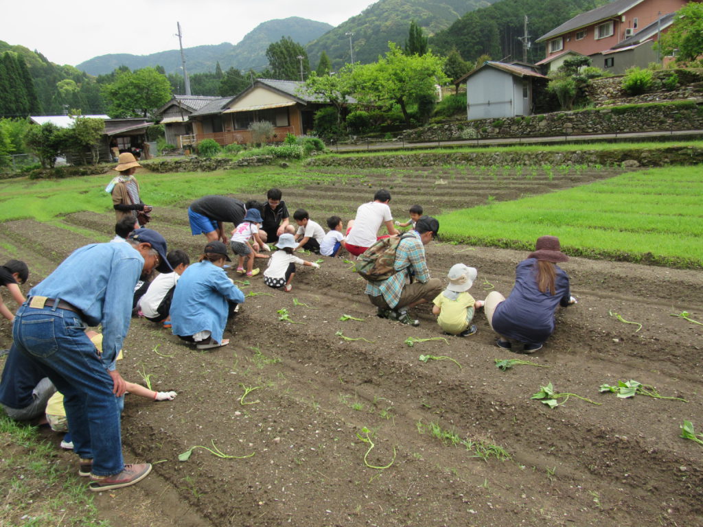 2017年春古座川地域貢献活動