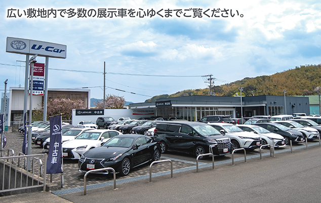 広い敷地内で多数の展示車を心ゆくまでご覧ください。