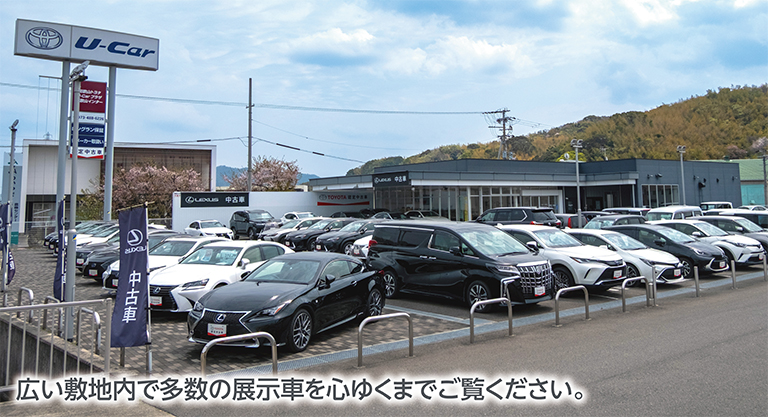 広い敷地内で多数の展示車を心ゆくまでご覧ください。